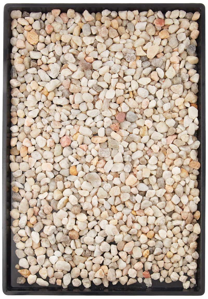 Brussel's 8" Humidity Tray with Decorative Rocks
